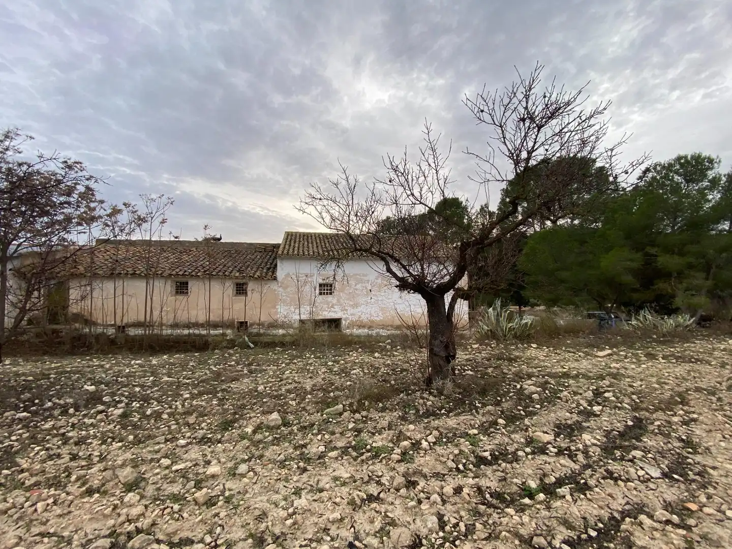 Terreni e lotti in vendita a Moratalla, imagen 15