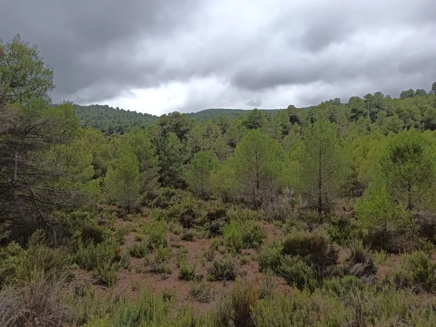 Houses for sale in Alcadozo, Albacete
