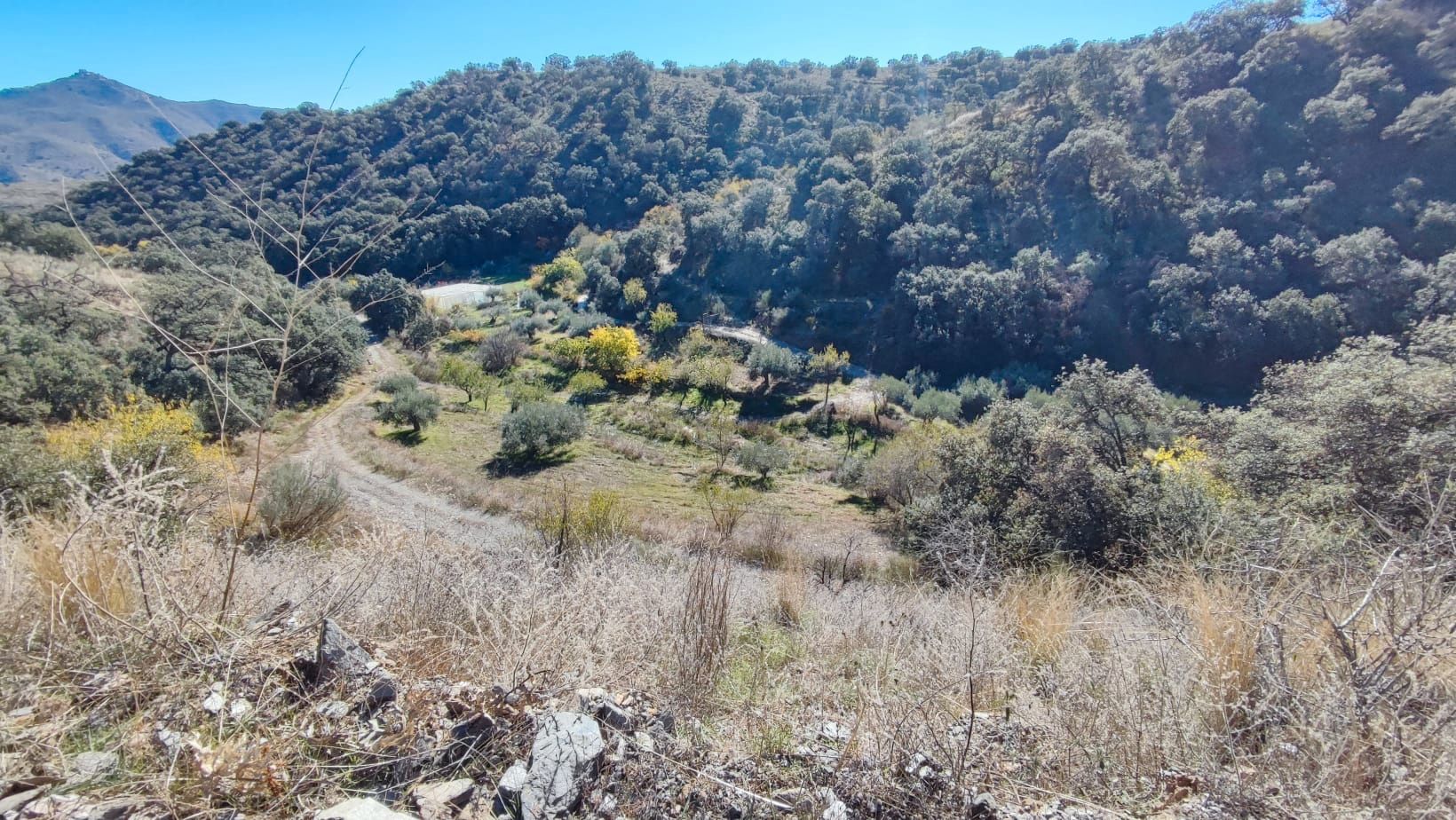 Terreno en venta en Alcudia de Monteagud