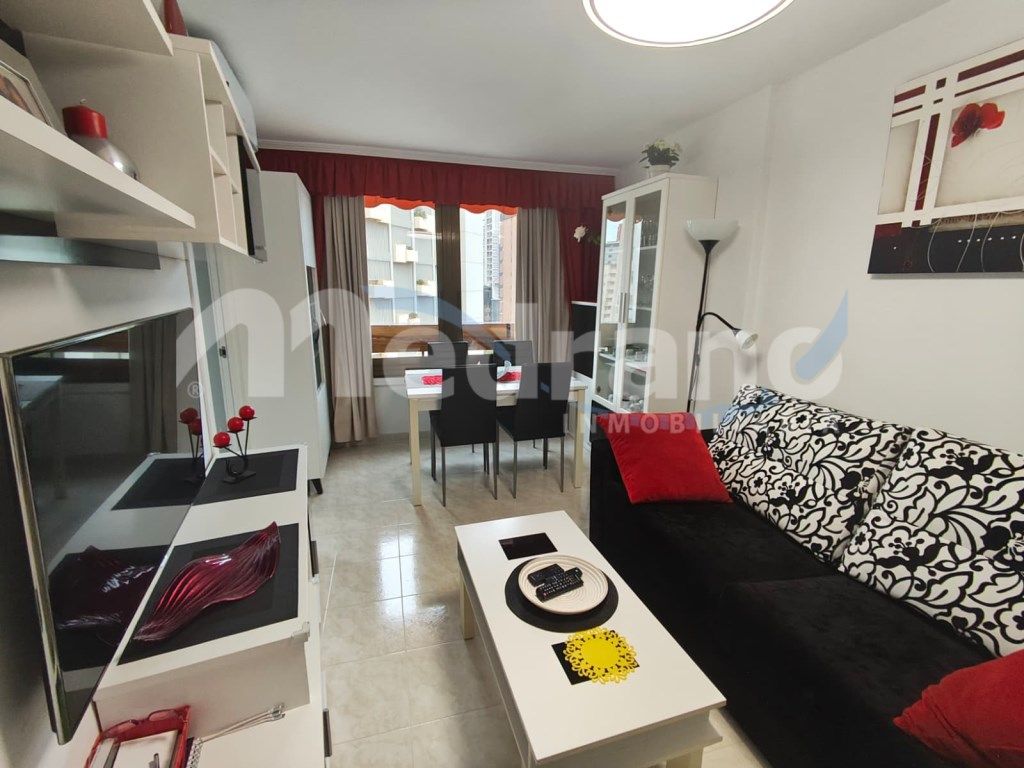 Sala d'estar de Estudi en venda en Benidorm amb Aire condicionat