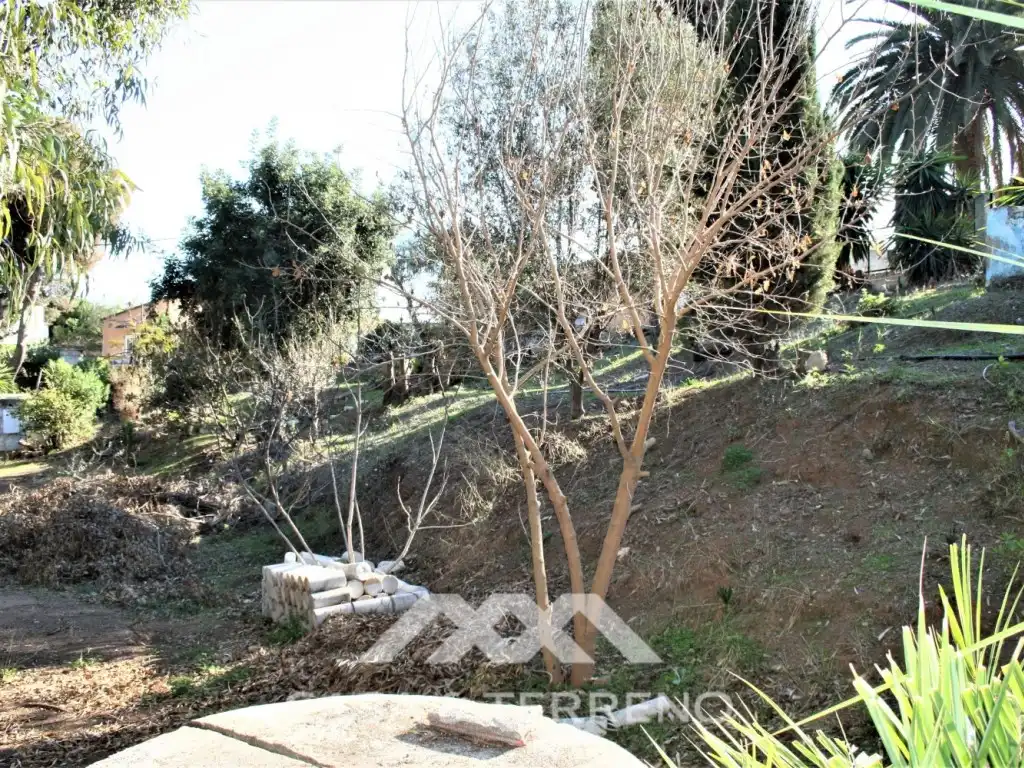 Commercial properties for sale in Benajarafe