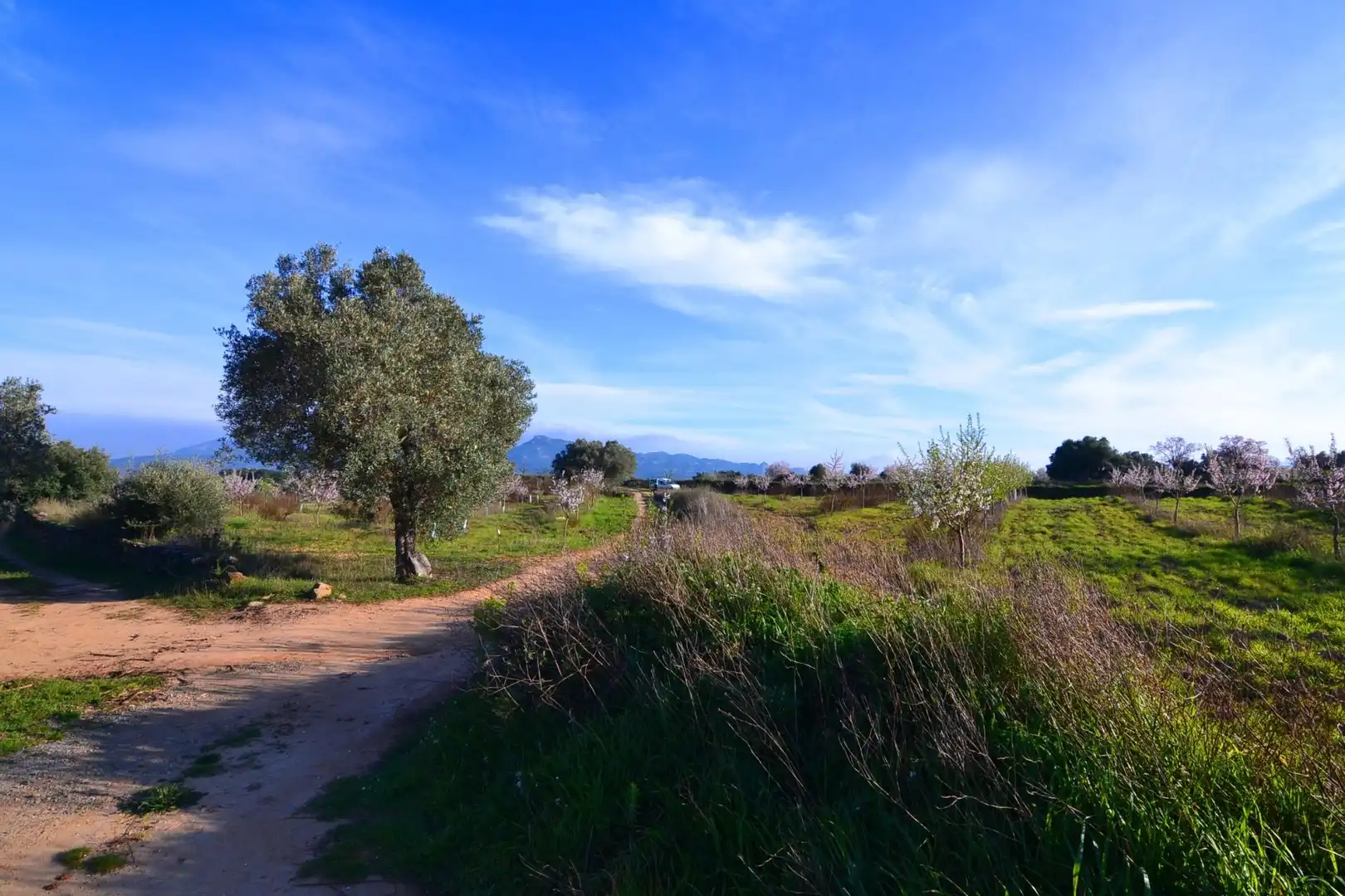 Rural land for sale in Gandesa, imagen 30