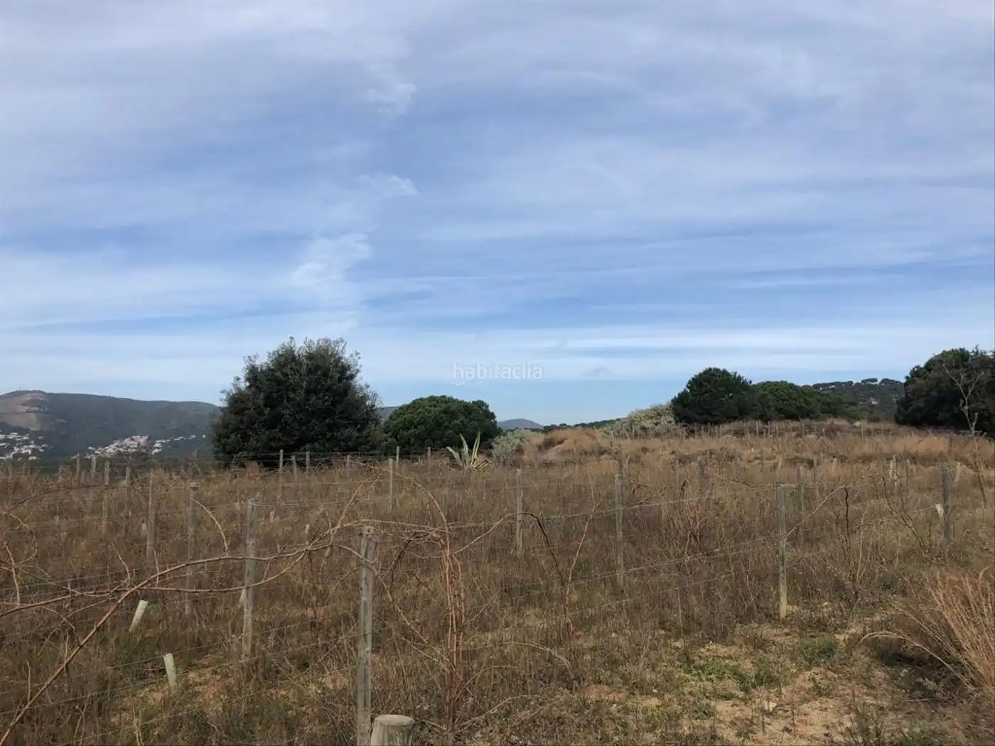 Terreno rústico en venta en Teià, imagen 3