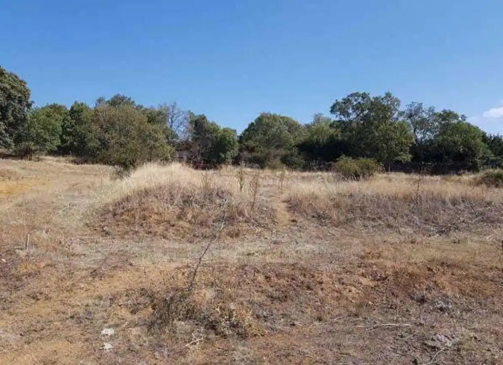 Terreno rustico in vendita a FINCA CONDESA, imagen 4