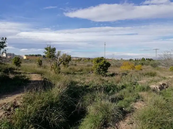 Terreny rústic en venda a Huerto Naranjos, imagen 2