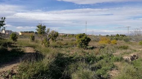 Foto 2 de Terreno en venta en Huerto Naranjos, Javalí Nuevo, Murcia Capital