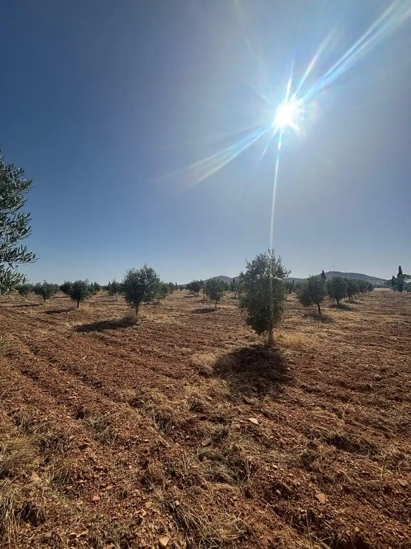 Rural land for sale in Valdepeñas, imagen 9