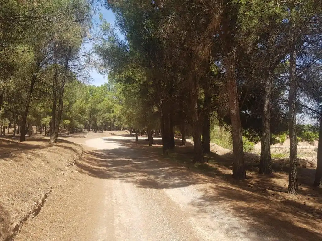 Vista exterior de Terreno en venta en Cascante