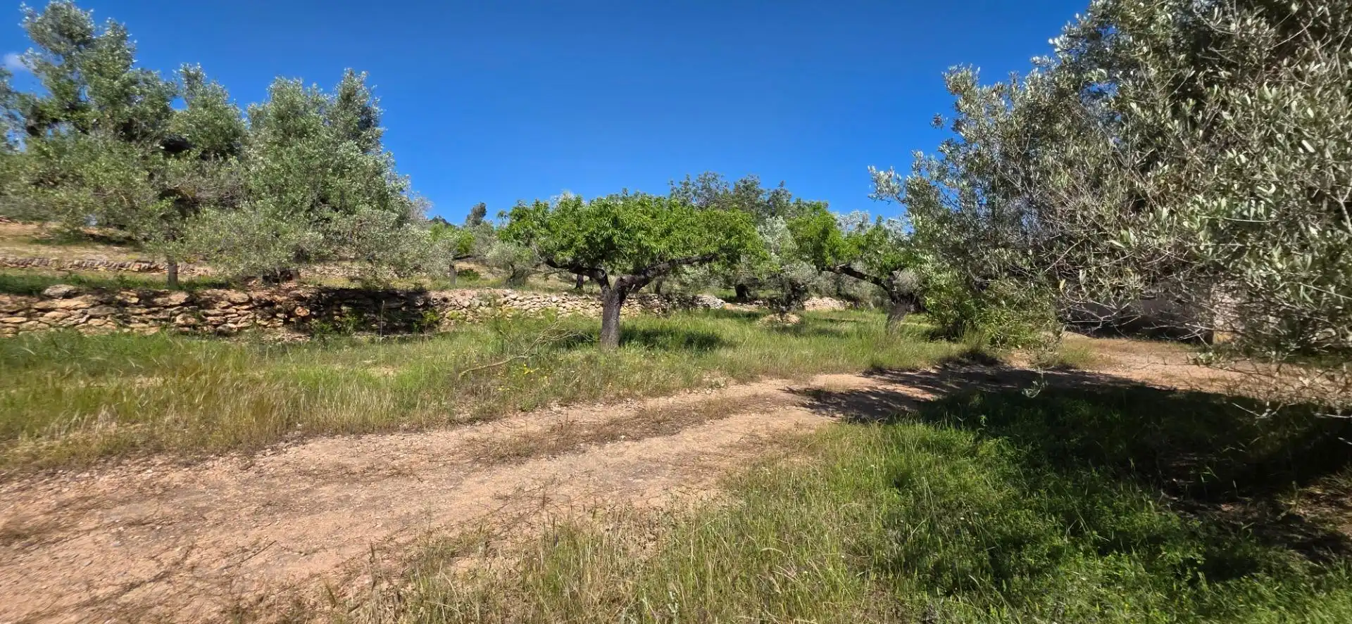 Maison rustique à vendre à Tivissa, imagen 20
