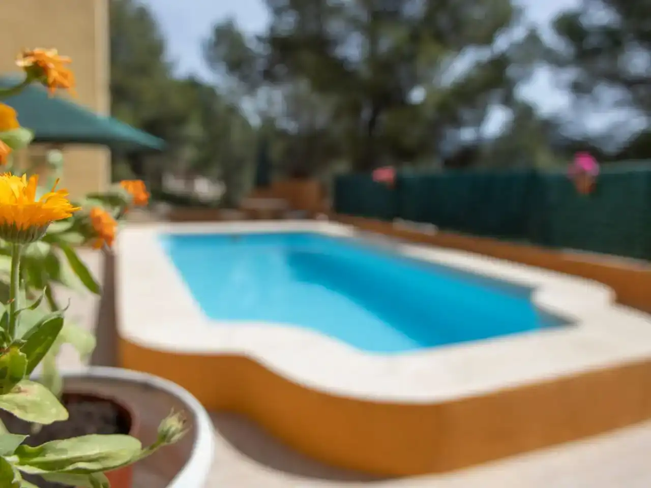 Swimming pool of Flat for rent in Tibi  with Air Conditioner, Private garden and Swimming Pool
