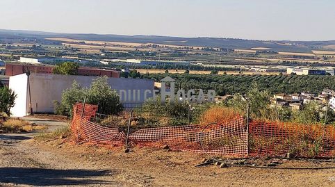 Foto 2 de Finca rústica en venda a Zona de la Vega, Antequera