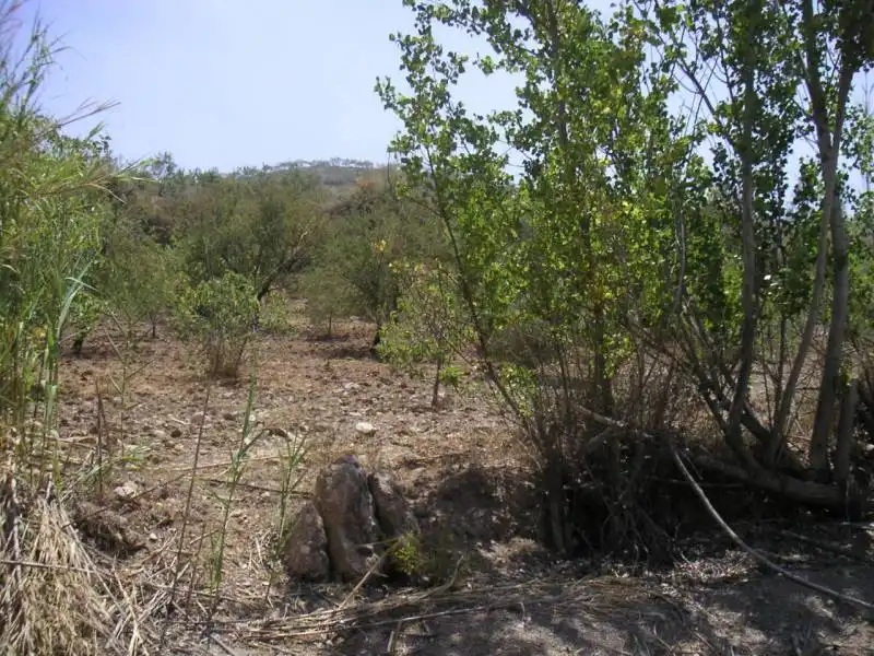 Casa o chalet en venta en Ugíjar