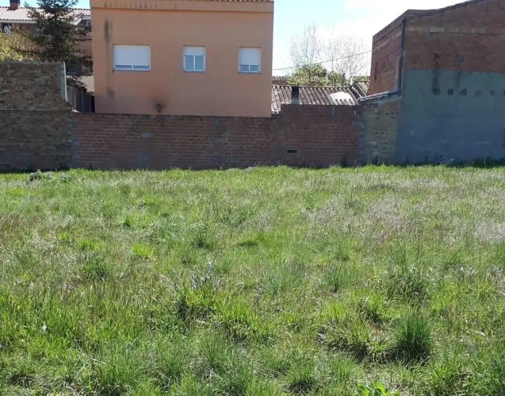 Rural land for sale in CAMÍ DE CAL NADAL, imagen 3
