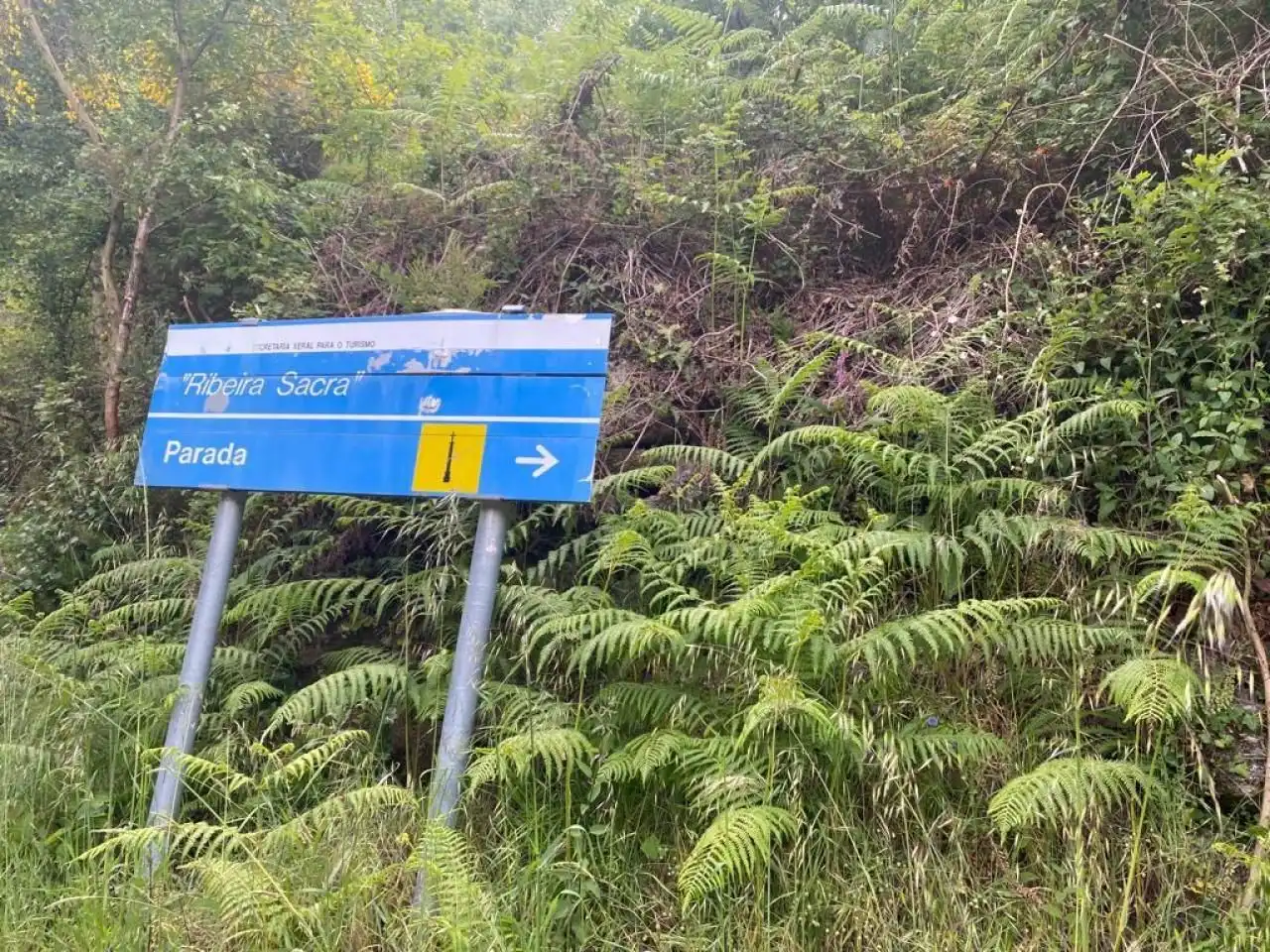 Casa o xalet en venda a Nogueira de Ramuín