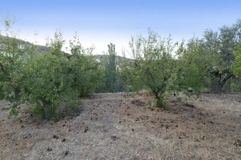 Casa rústica amb jardí en venda a Villamena, imagen 27