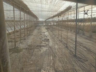 Terreno rustico in vendita a Los Tablones - La Garnatilla