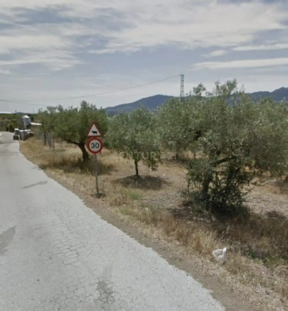 Rural land for sale in Camino la Ramita, Alhaurín de la Torre, Málaga, Spain, imagen 15