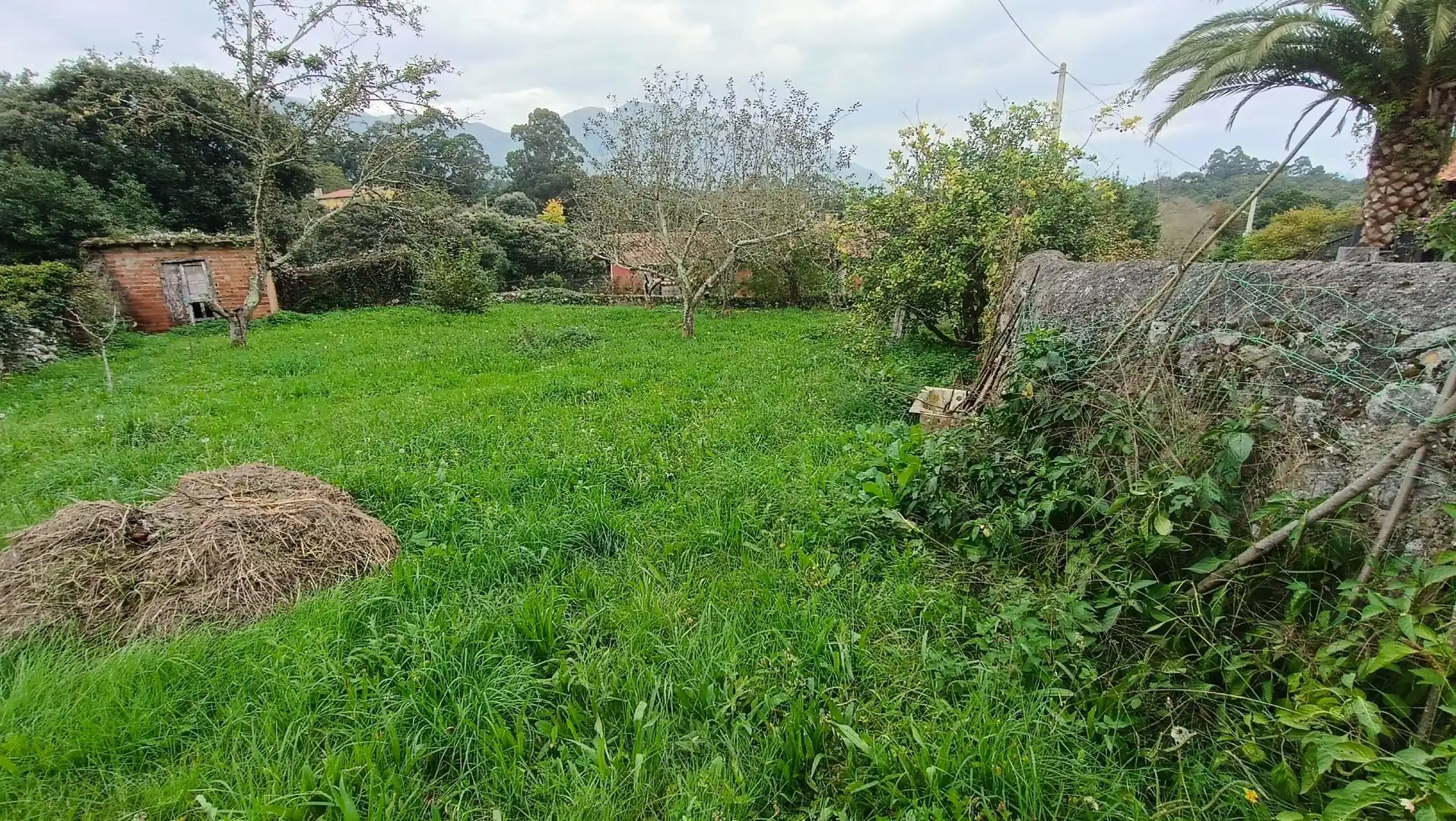 Country homes for sale in Llanes  with Private garden