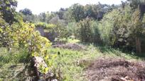 Casa o xalet en venda en Riudarenes amb Calefacció, Jardí privat i Terrassa