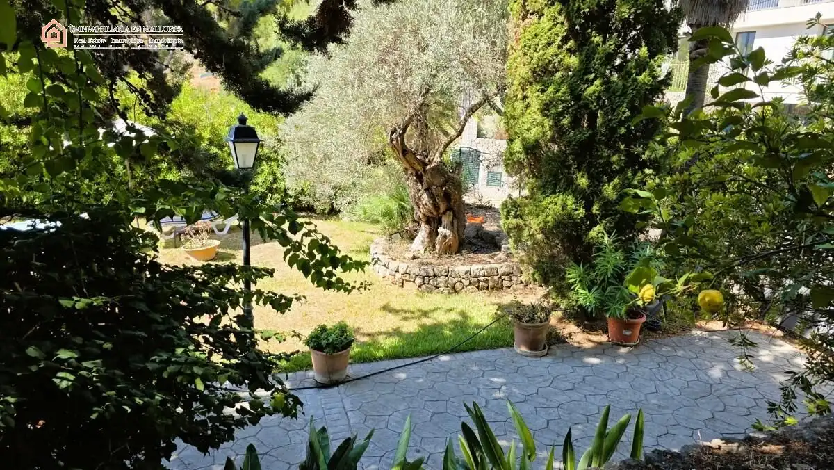 Jardí de Finca rústica en venda en Sóller amb Aire condicionat, Calefacció i Jardí privat