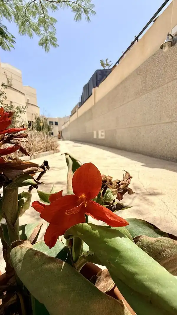 Vista exterior de Casa o xalet en venda en Pájara amb Aire condicionat, Jardí privat i Terrassa