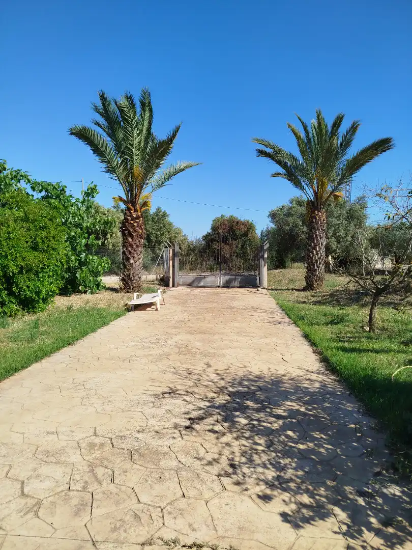 Casa o xalet en venda en Benicarló amb Aire condicionat, Calefacció i Jardí privat
