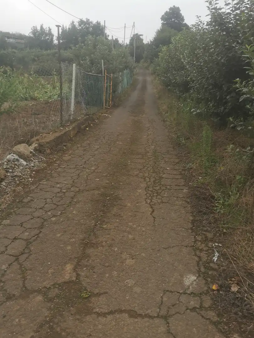 Terreno rustico in vendita a Camino Lomo Alto 8, imagen 6