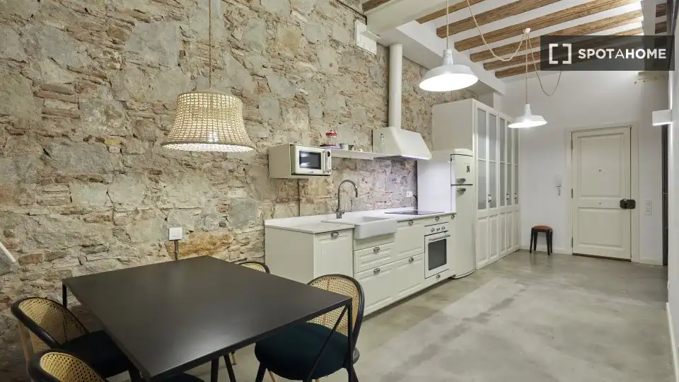 Piso con terraza en alquiler en Ciutat Vella, imagen 4