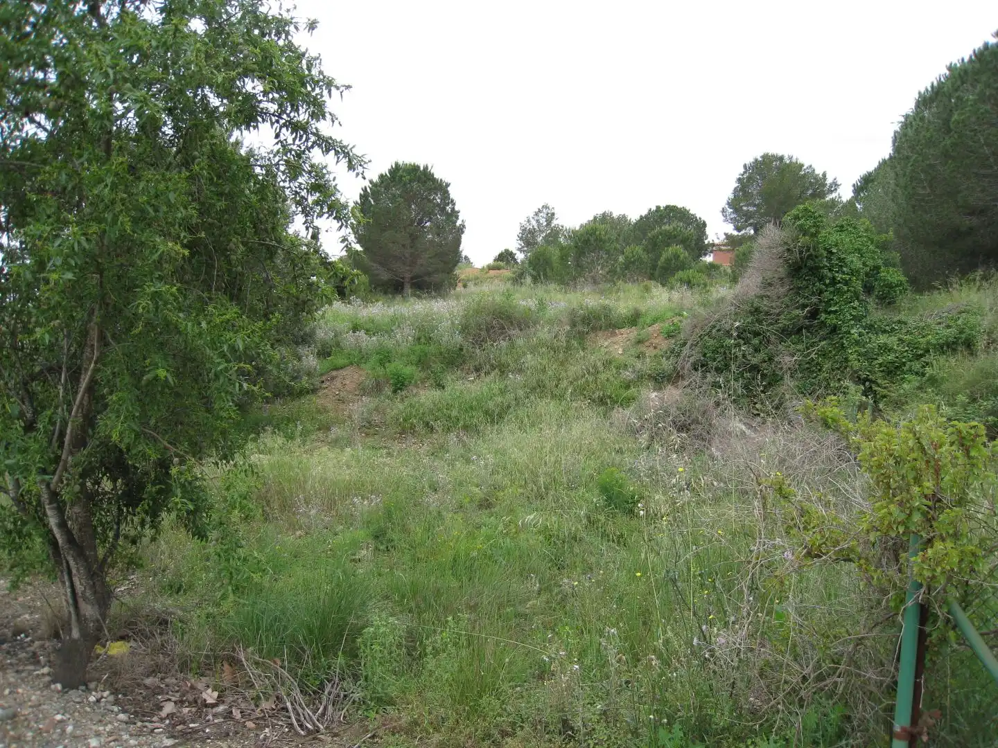 Wohnbaugrundstück zum Verkauf in Carrer del Pi 5, imagen 5