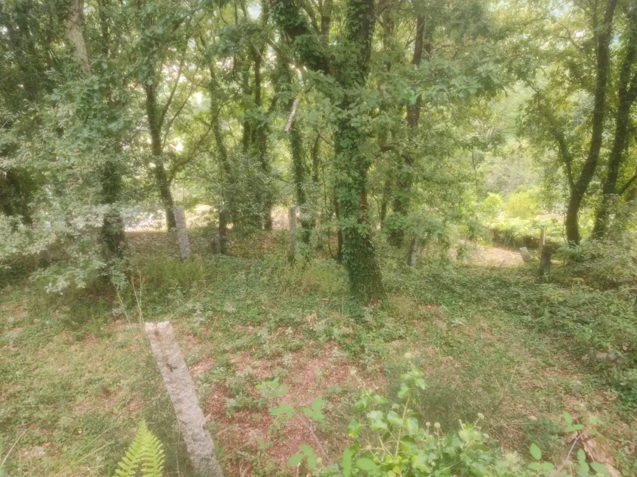 Casa o chalet en venta en Pazos de Borbén con Calefacción, Jardín privado y Terraza