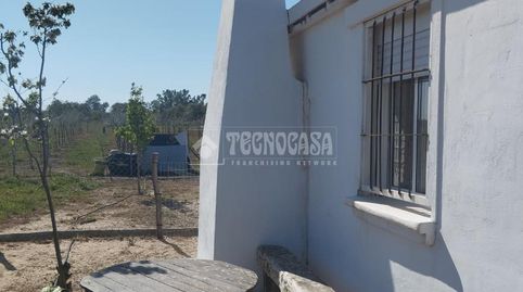 Foto 4 de Finca rústica en venta en Marchena, Sevilla