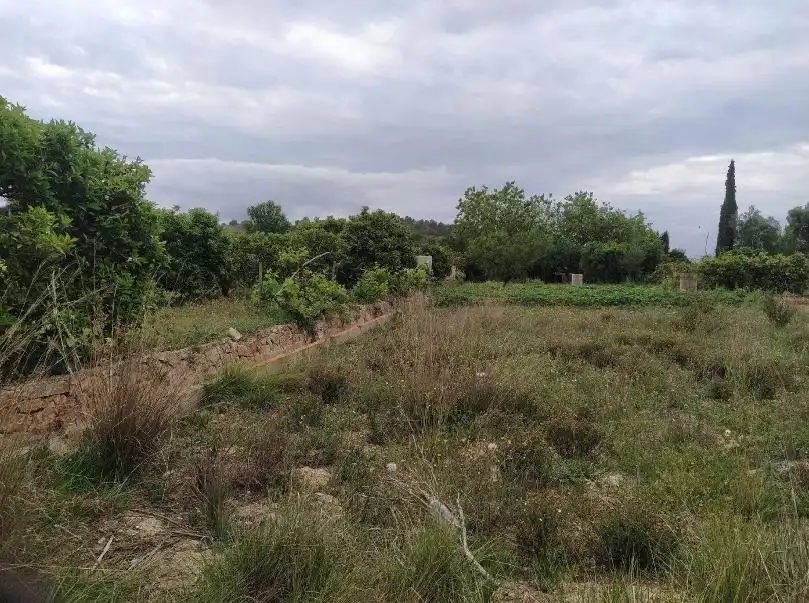 Residential land for sale in Monóvar  / Monòver, imagen 2