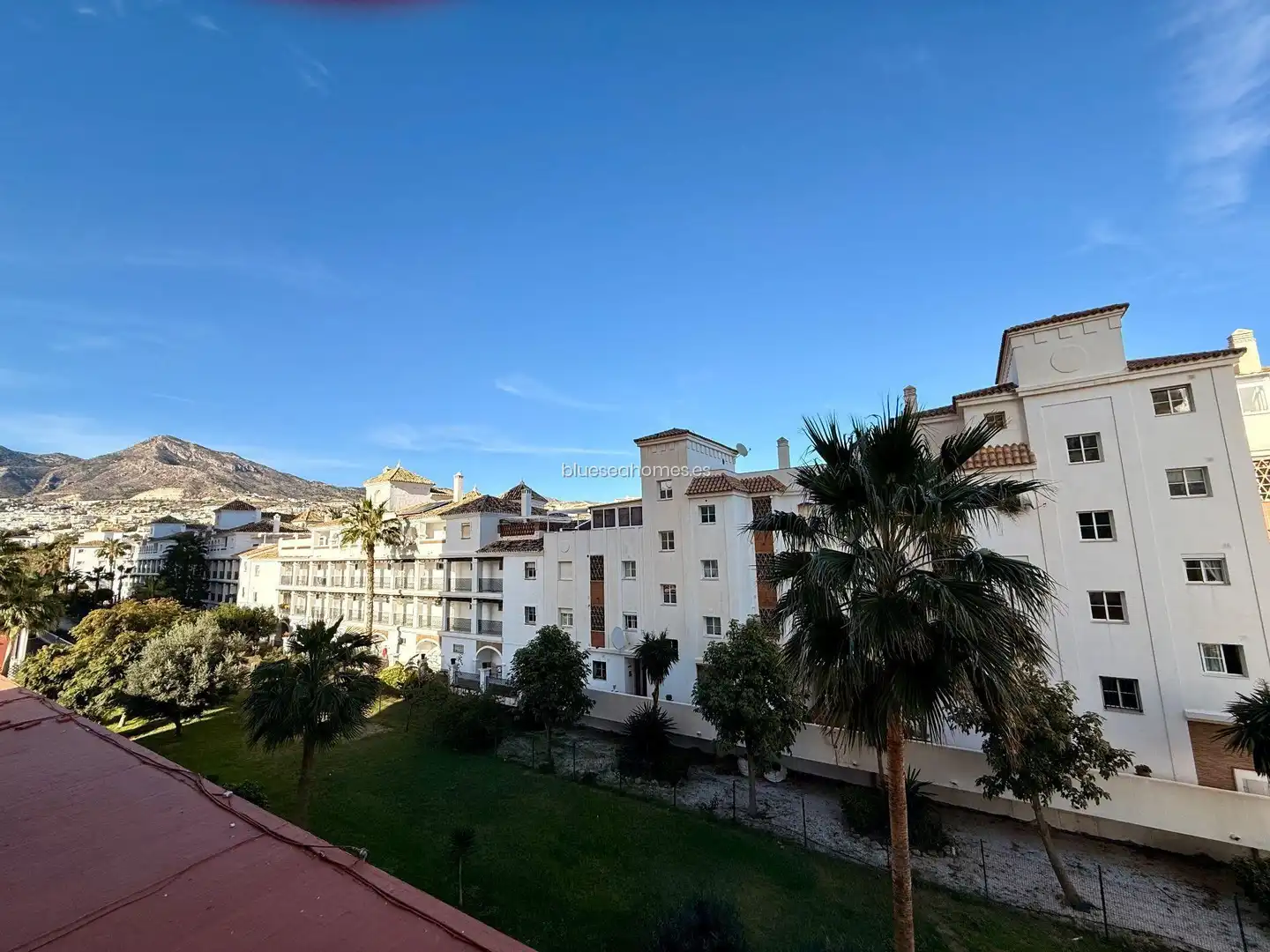 Vivienda con piscina en venta en Avenida MANUEL MENA PALMA Edif. Maite III, imagen 20