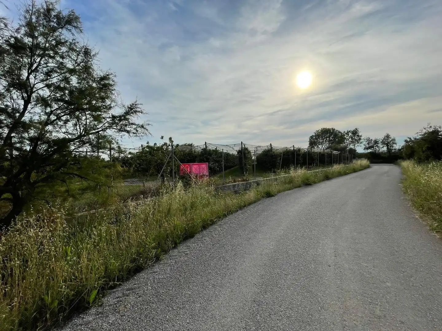 Rural land for sale in Sant Pere Pescador, imagen 31