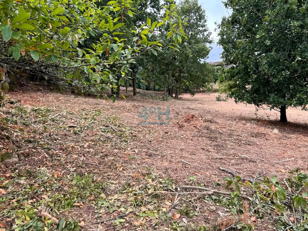 Residencial en venta en Barbadás