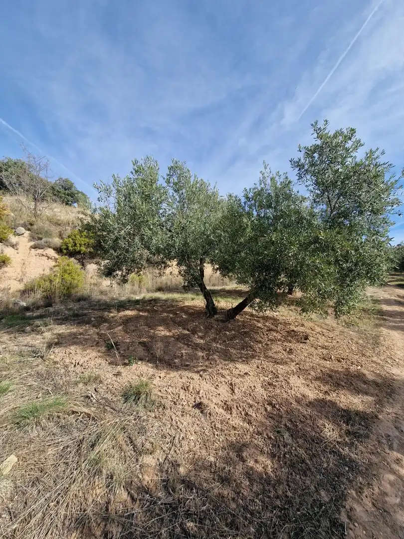 Maison rustique avec jardin à vendre à Cogollos de la Vega, imagen 50