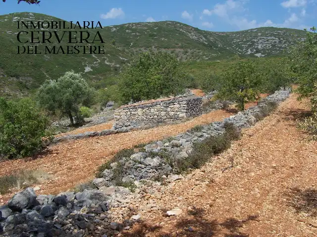 Rural land for sale in Cervera del Maestre, imagen 13