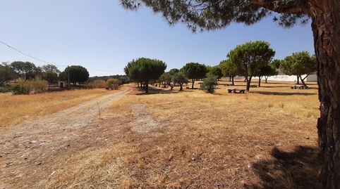 Oferta terreno en venta Don Benito, imagen 2