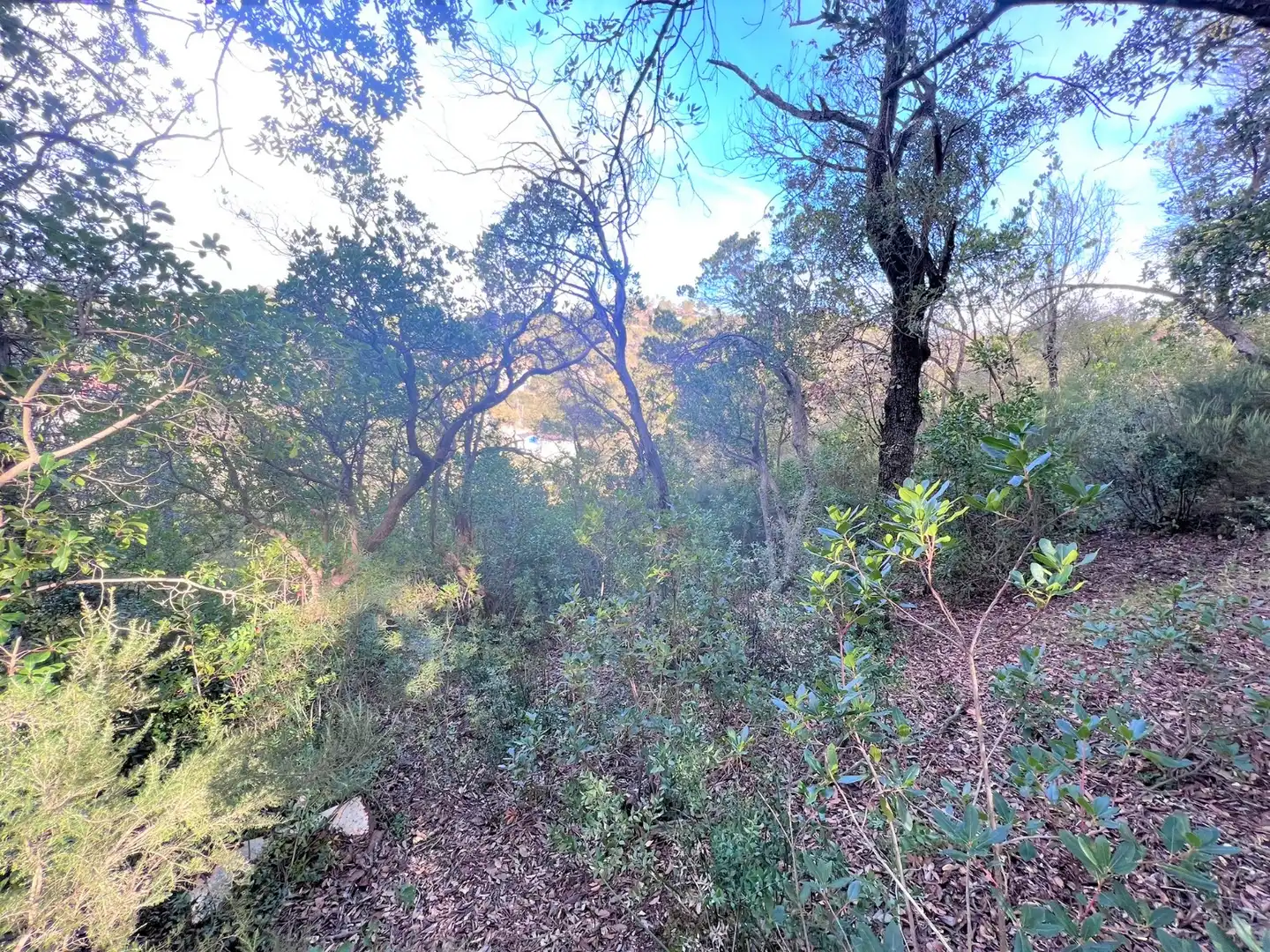 Terreno residencial en venta en Carrer Torrent del Llort 35, imagen 6