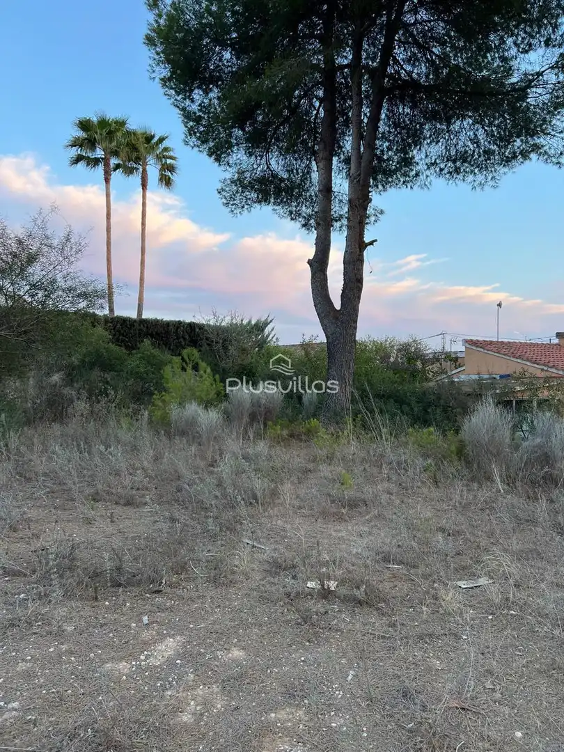 Terrenys i solars en venda a La Viña - Montemar - San Jaime, imagen 2