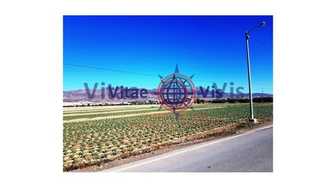 Foto 4 de Residencial en venta en Diseminados Tercia la, 841, Tercia, Lorca