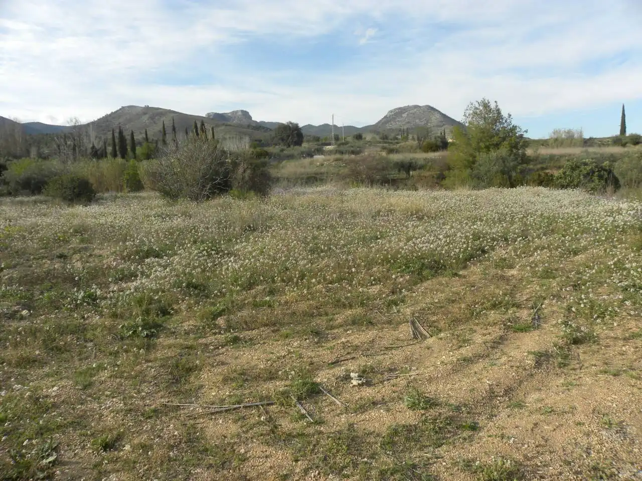 Residencial en venda en Caravaca de la Cruz