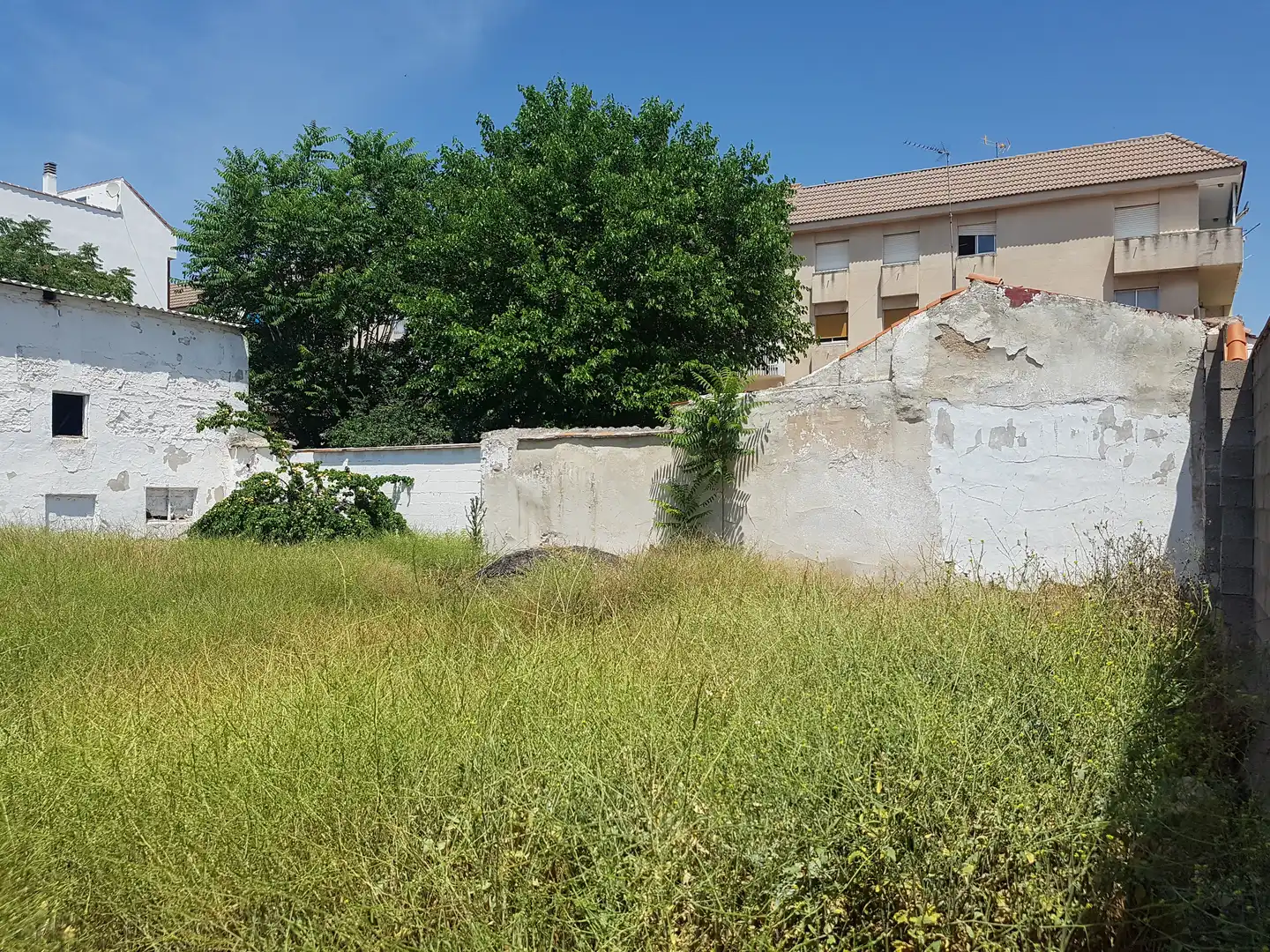 Lands and plots for sale in Corral de Almaguer, imagen 4