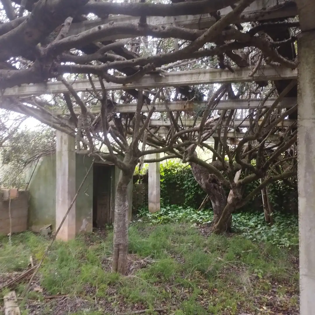 Garden of Industrial land for sale in Moncofa