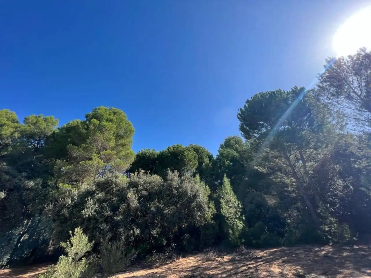 Chalet en venta en Banyeres de Mariola, imagen 30