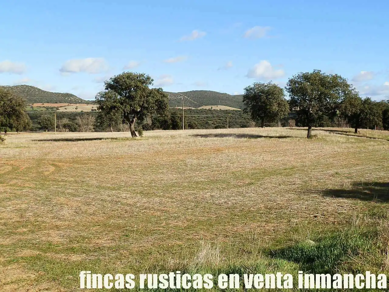 Terreny rústic en venda a Viso del Marqués, imagen 10