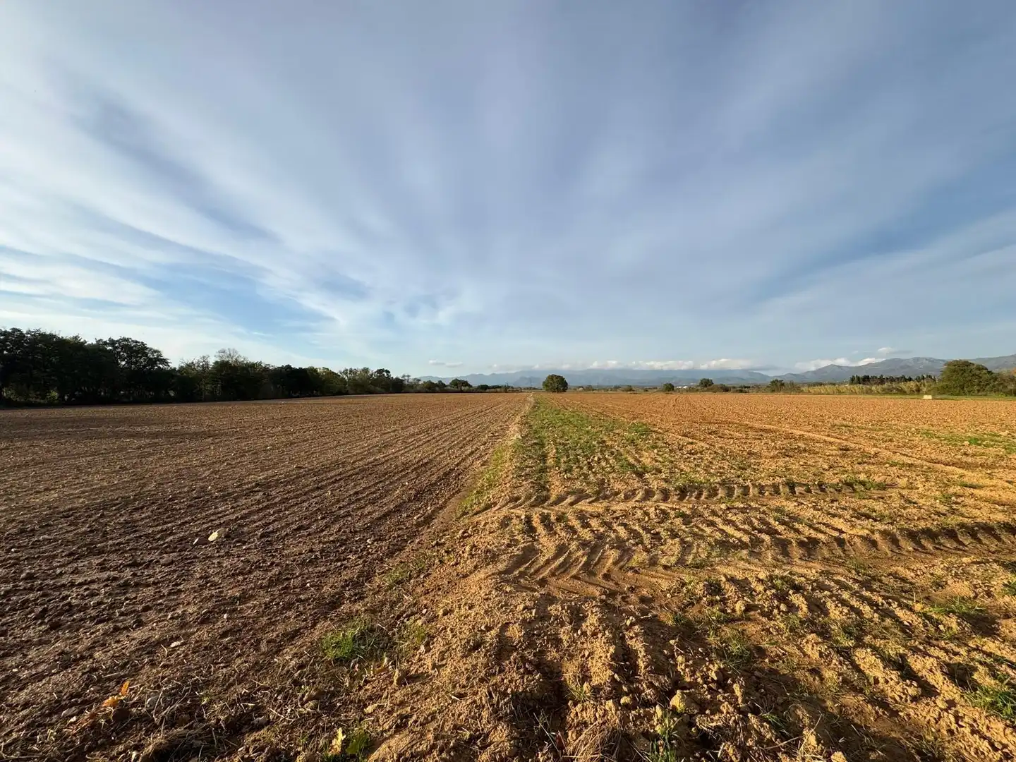 Rural land for sale in Garriguella, imagen 4