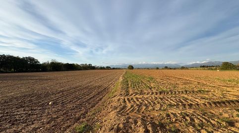 Foto 4 de Terreno en venta en Garriguella, Garriguella, Girona