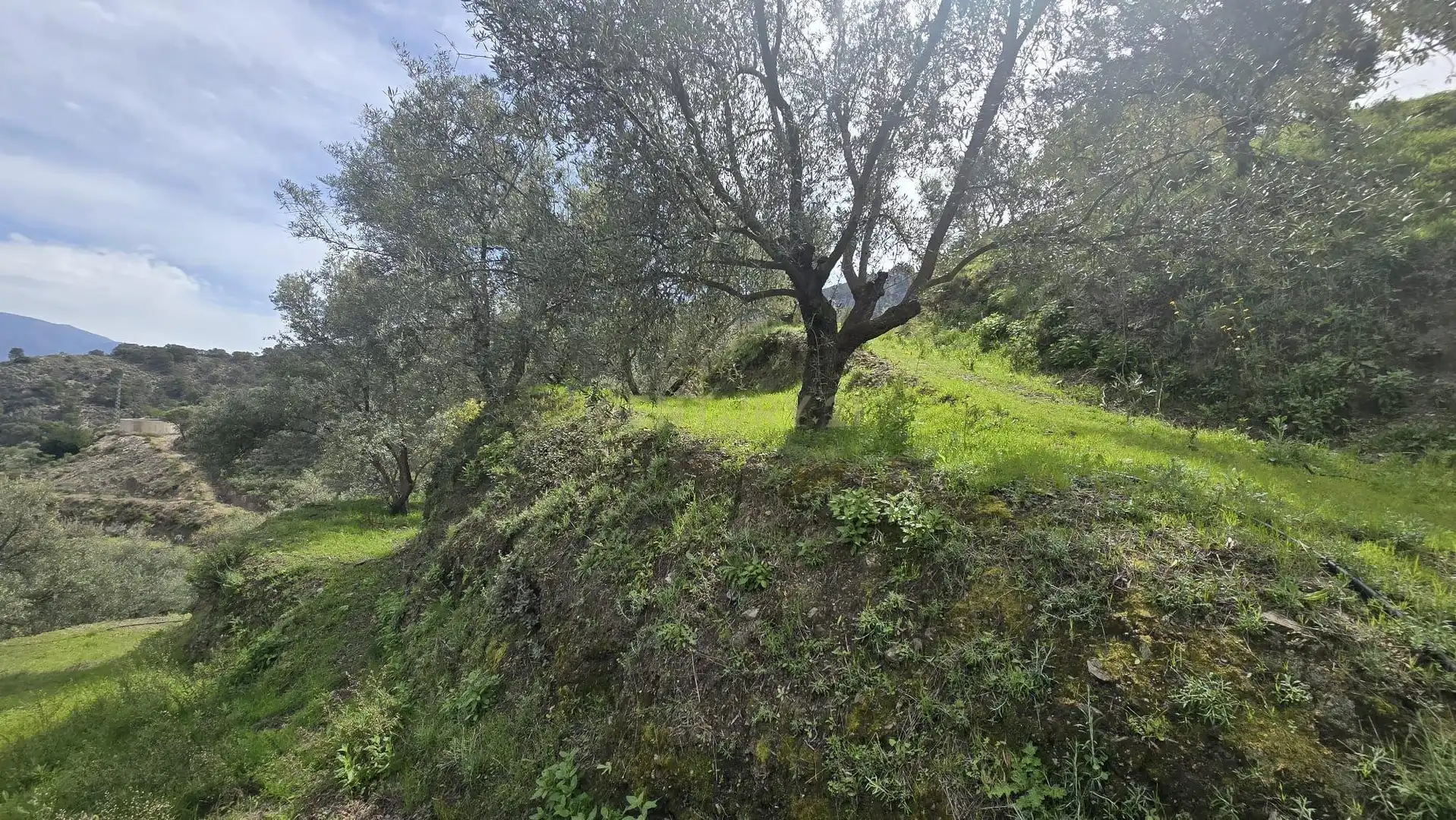 Terreno rustico in vendita a Polígono 11 Parcela 307 EL CERRILLAR. LOS GUAJARES (GRANADA), imagen 8