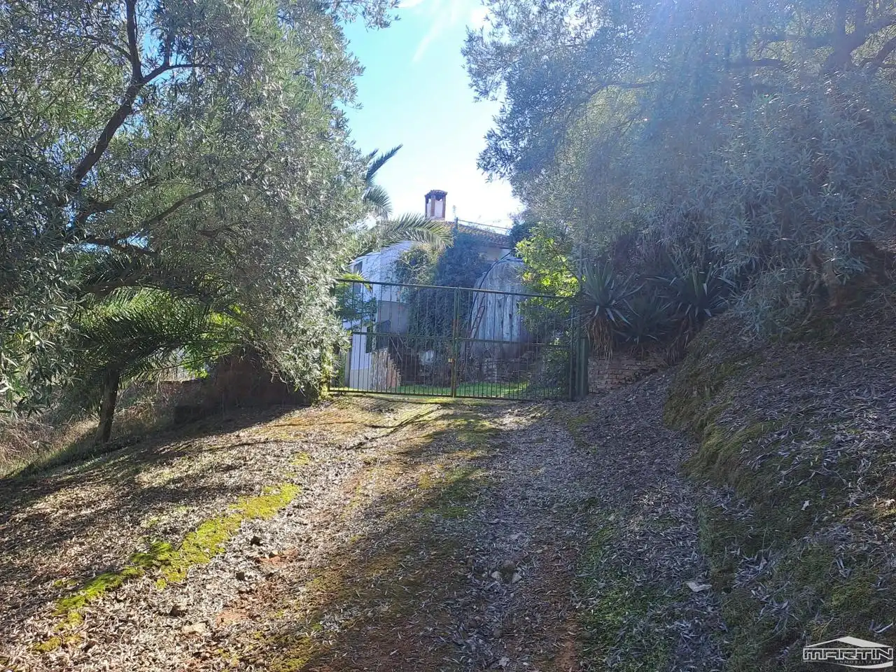 Jardín de Casa o chalet en venta en Villaviciosa de Córdoba con Piscina